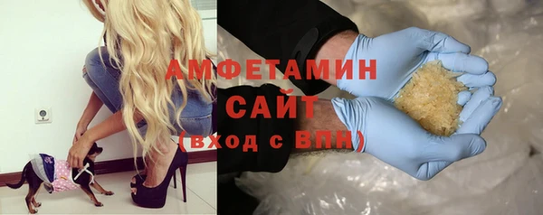 молекула духа Нестеровская