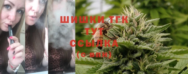 молекула духа Нестеровская