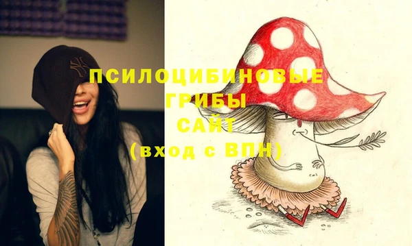 молекула духа Нестеровская