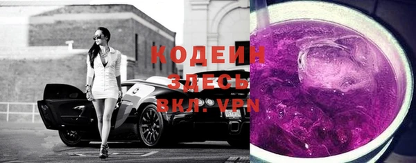 молекула духа Нестеровская