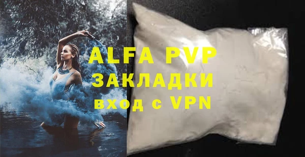 молекула духа Нестеровская