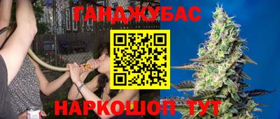 шишки Заводоуковск