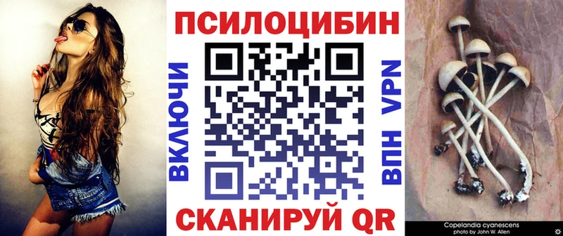 Галлюциногенные грибы GOLDEN TEACHER  где найти   Зеленодольск 
