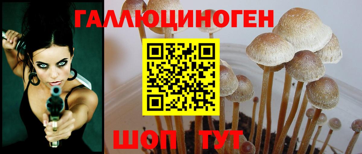 Псилоцибиновые грибы Magic Shrooms Зеленодольск