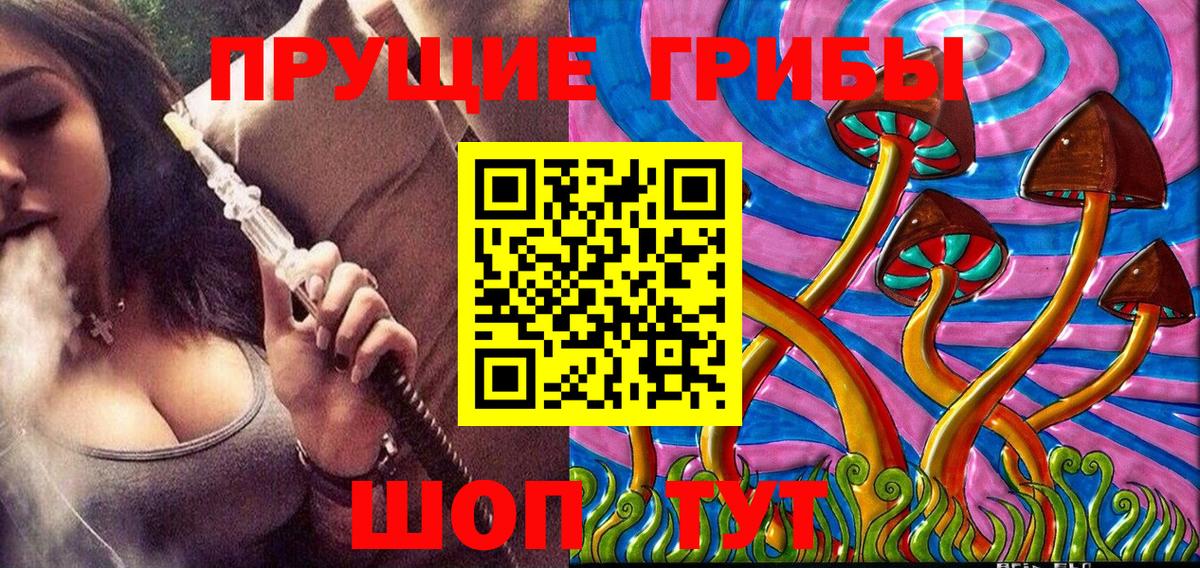Зеленодольск  Псилоцибиновые грибы мухоморы  Вход с VPN 